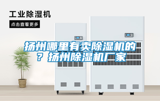 揚(yáng)州哪里有賣除濕機(jī)的？揚(yáng)州除濕機(jī)廠家