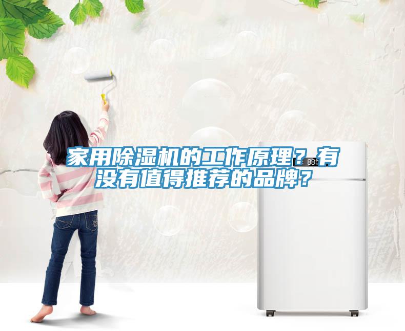家用除濕機(jī)的工作原理？有沒有值得推薦的品牌？