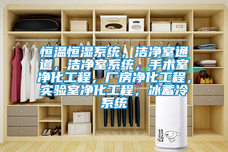 恒溫恒濕系統(tǒng)，潔凈室通道，潔凈室系統(tǒng)，手術(shù)室凈化工程，廠房?jī)艋こ?，?shí)驗(yàn)室凈化工程，冰蓄冷系統(tǒng)