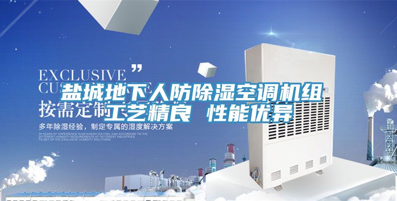 鹽城地下人防除濕空調(diào)機(jī)組 工藝精良 性能優(yōu)異