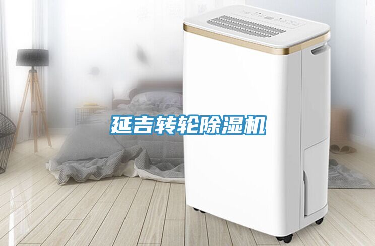 延吉轉(zhuǎn)輪除濕機