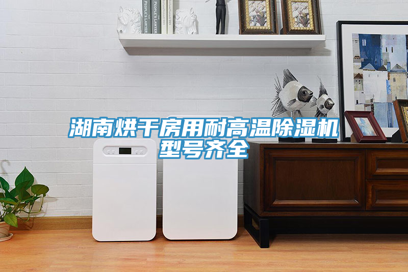 湖南烘干房用耐高溫除濕機型號齊全