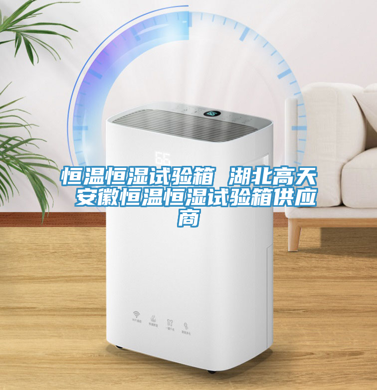 恒溫恒濕試驗(yàn)箱 湖北高天 安徽恒溫恒濕試驗(yàn)箱供應(yīng)商