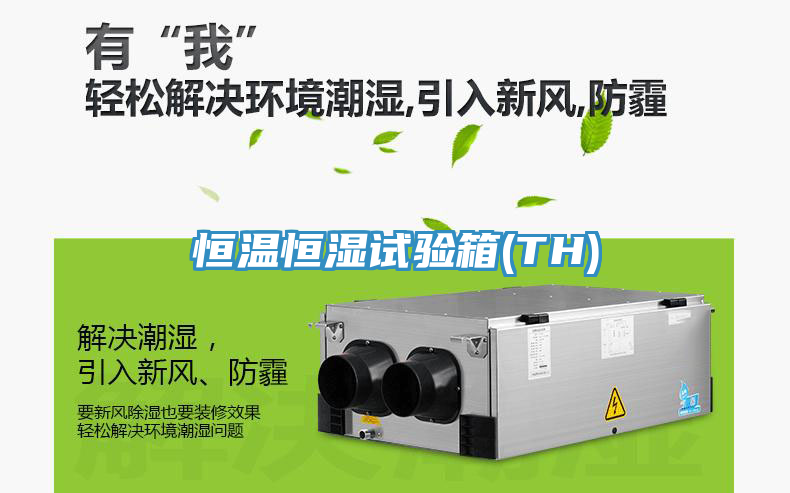 恒溫恒濕試驗(yàn)箱(TH)