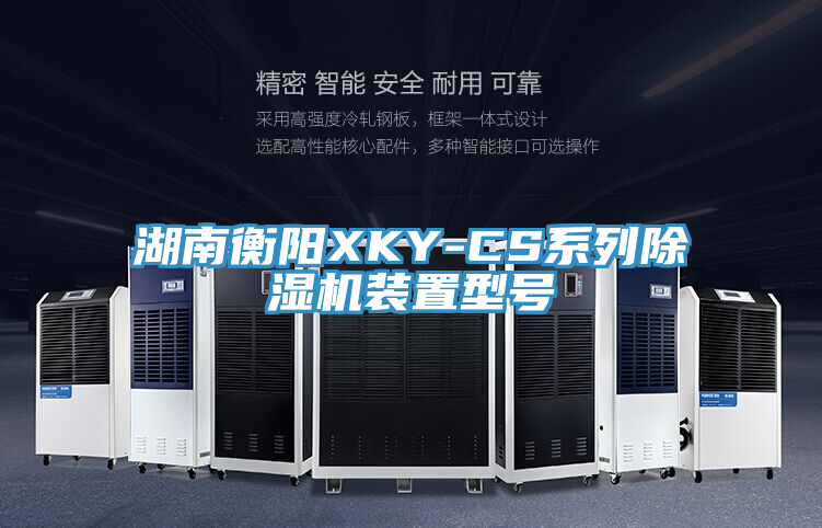 湖南衡陽XKY-CS系列除濕機裝置型號