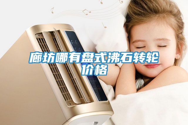 廊坊哪有盤式沸石轉(zhuǎn)輪價格