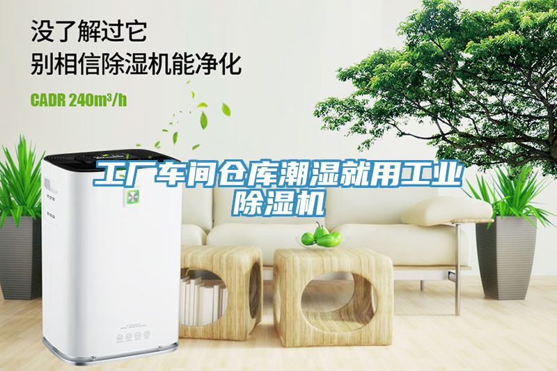 工廠車間倉庫潮濕就用工業(yè)除濕機(jī)