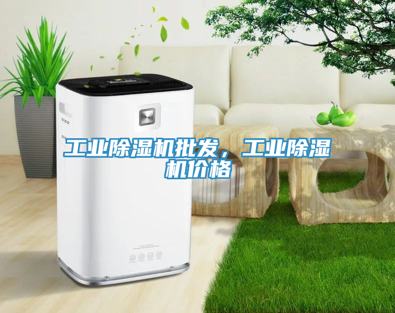 工業(yè)除濕機(jī)批發(fā)，工業(yè)除濕機(jī)價格