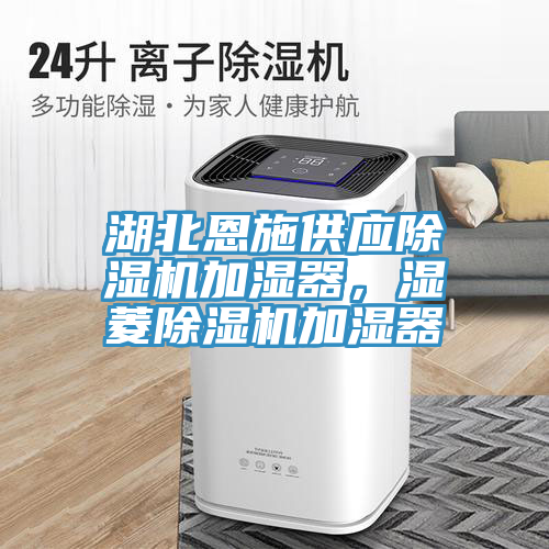 湖北恩施供應(yīng)除濕機加濕器，濕菱除濕機加濕器