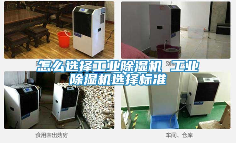 怎么選擇工業(yè)除濕機(jī) 工業(yè)除濕機(jī)選擇標(biāo)準(zhǔn)
