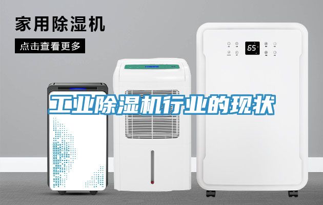 工業(yè)除濕機(jī)行業(yè)的現(xiàn)狀