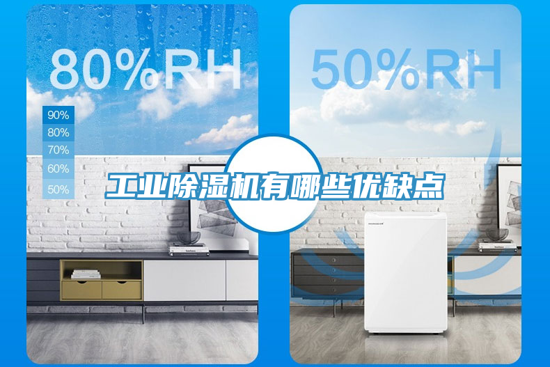 工業(yè)除濕機有哪些優(yōu)缺點