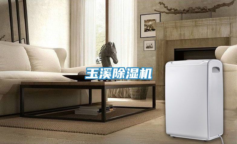 玉溪除濕機(jī)