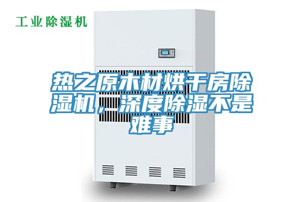 熱之原木材烘干房除濕機(jī)，深度除濕不是難事