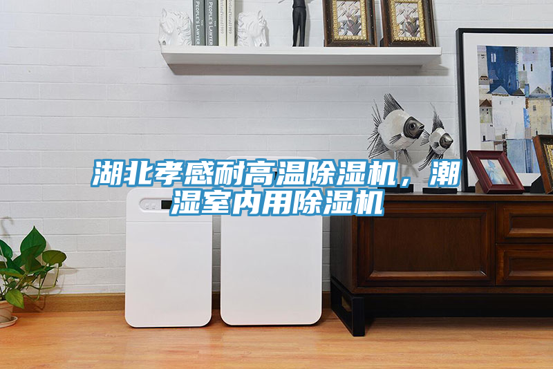 湖北孝感耐高溫除濕機，潮濕室內(nèi)用除濕機