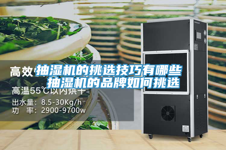 抽濕機(jī)的挑選技巧有哪些 抽濕機(jī)的品牌如何挑選
