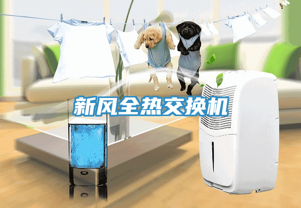 新風(fēng)全熱交換機(jī)