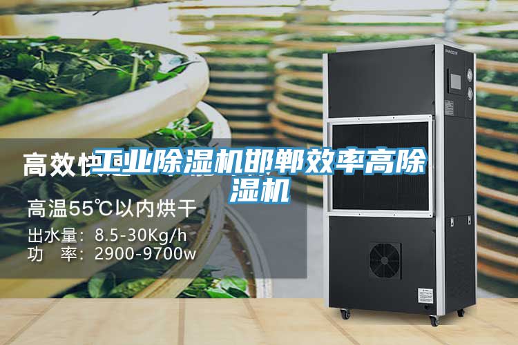 工業(yè)除濕機(jī)邯鄲效率高除濕機(jī)
