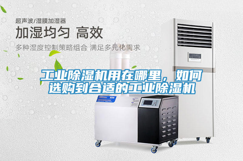 工業(yè)除濕機用在哪里，如何選購到合適的工業(yè)除濕機