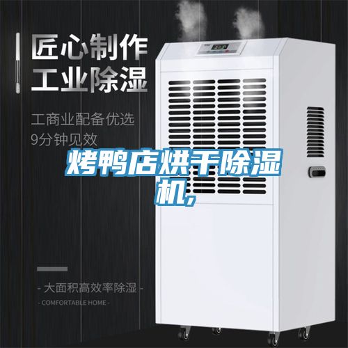 烤鴨店烘干除濕機(jī),