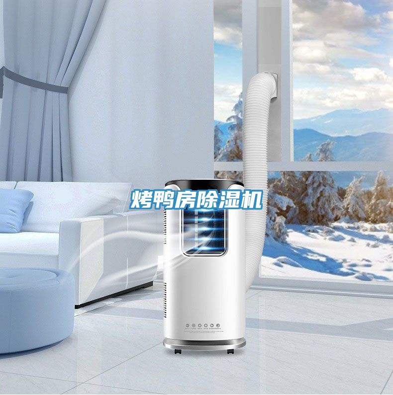 烤鴨房除濕機(jī)