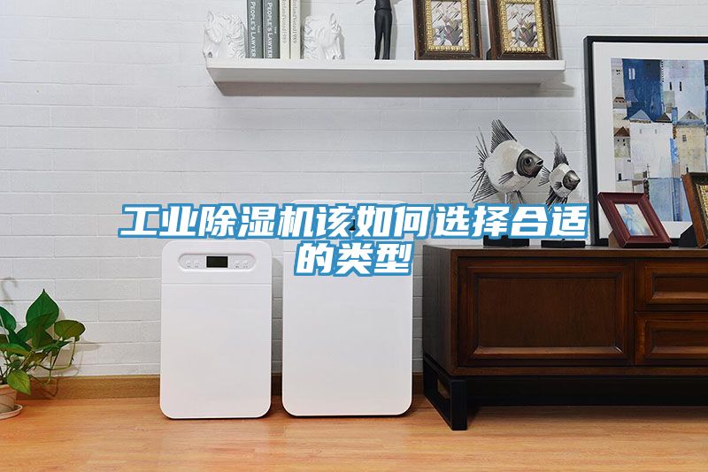 工業(yè)除濕機(jī)該如何選擇合適的類(lèi)型