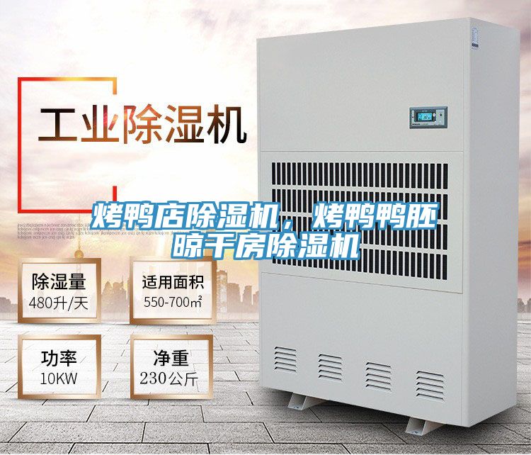 烤鴨店除濕機(jī)，烤鴨鴨胚晾干房除濕機(jī)
