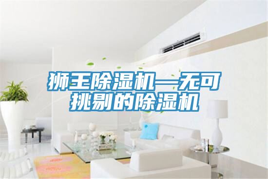 獅王除濕機(jī)—無可挑剔的除濕機(jī)