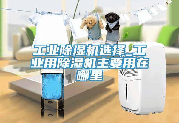 工業(yè)除濕機(jī)選擇_工業(yè)用除濕機(jī)主要用在哪里