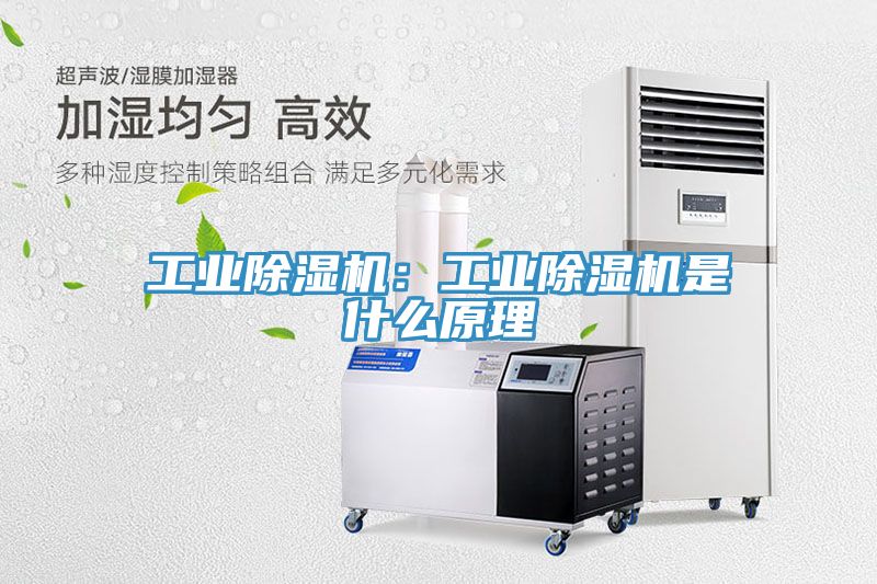 工業(yè)除濕機：工業(yè)除濕機是什么原理