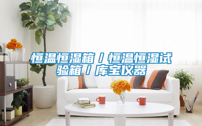 恒溫恒濕箱／恒溫恒濕試驗(yàn)箱／庫寶儀器