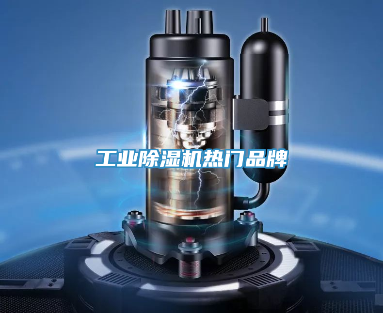 工業(yè)除濕機(jī)熱門品牌