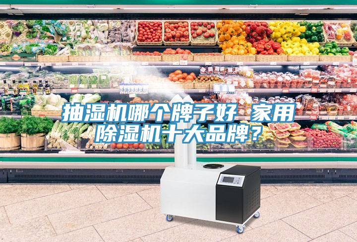 抽濕機(jī)哪個(gè)牌子好 家用除濕機(jī)十大品牌？