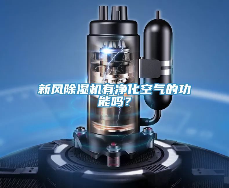 新風(fēng)除濕機(jī)有凈化空氣的功能嗎？