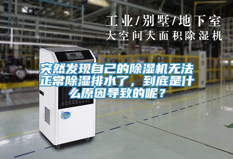 突然發(fā)現(xiàn)自己的除濕機(jī)無法正常除濕排水了，到底是什么原因?qū)е碌哪兀?></div>
								<div   id=