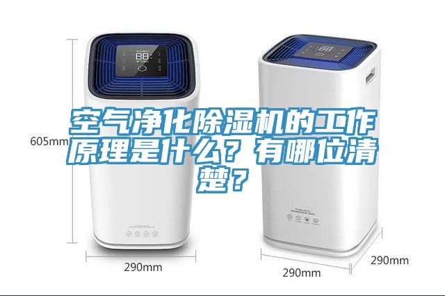 空氣凈化除濕機(jī)的工作原理是什么？有哪位清楚？