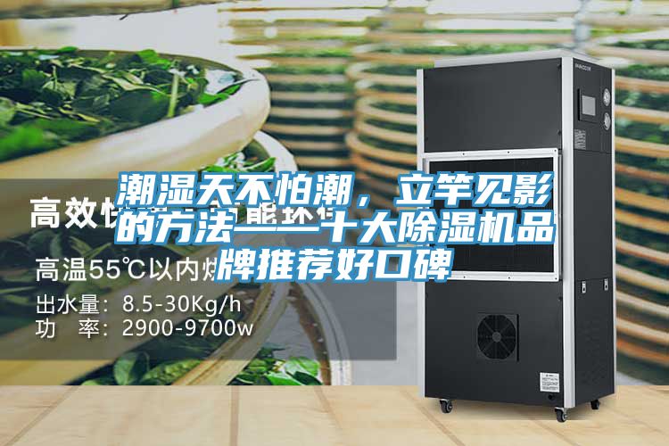 潮濕天不怕潮，立竿見(jiàn)影的方法——十大除濕機(jī)品牌推薦好口碑
