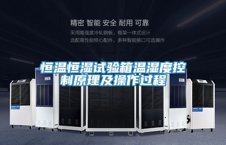 恒溫恒濕試驗(yàn)箱溫濕度控制原理及操作過程