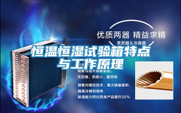 恒溫恒濕試驗箱特點與工作原理