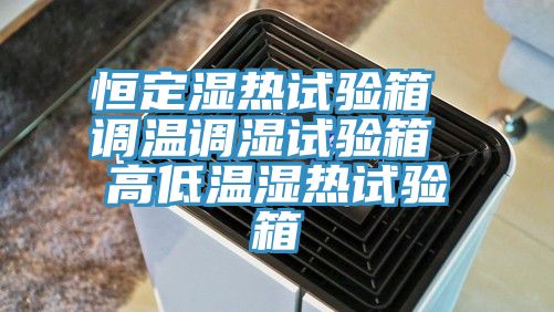 恒定濕熱試驗(yàn)箱 調(diào)溫調(diào)濕試驗(yàn)箱 高低溫濕熱試驗(yàn)箱