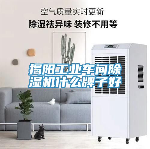 揭陽工業(yè)車間除濕機什么牌子好