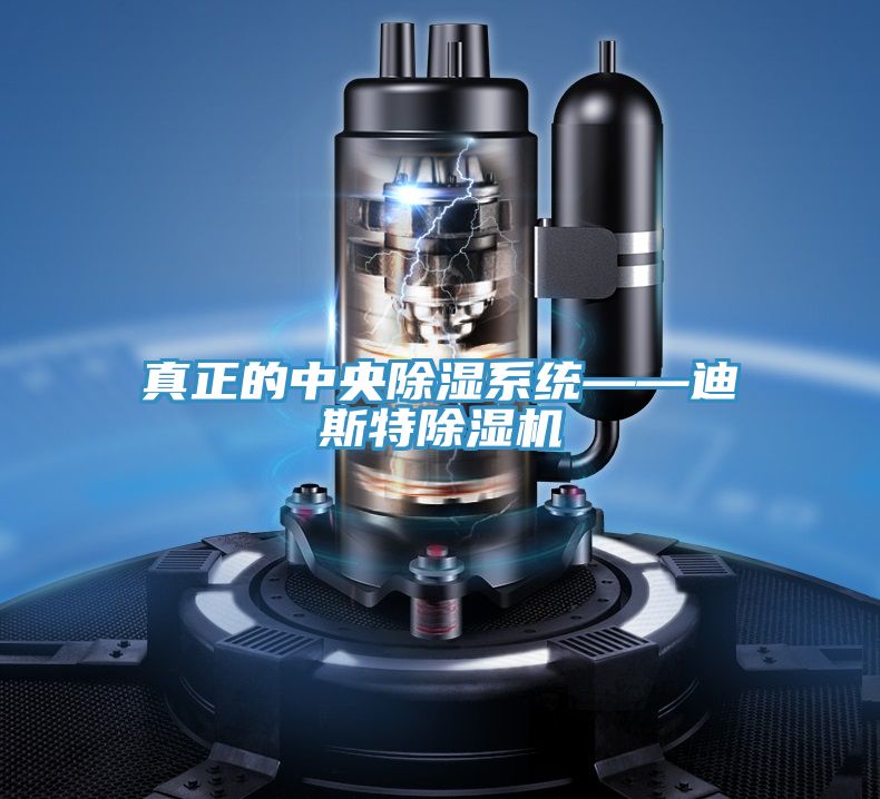 真正的中央除濕系統(tǒng)——迪斯特除濕機(jī)