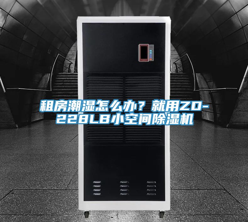 租房潮濕怎么辦？就用ZD-228LB小空間除濕機(jī)