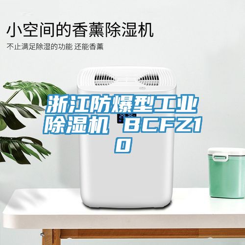 浙江防爆型工業(yè)除濕機 BCFZ10