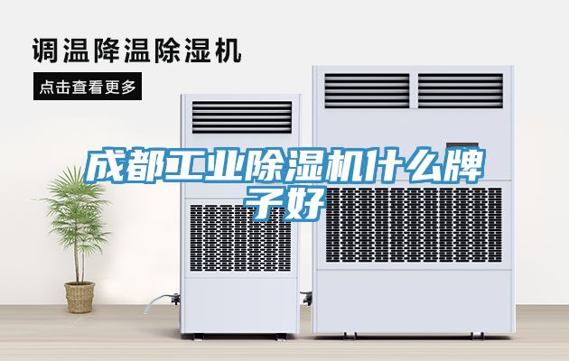 成都工業(yè)除濕機什么牌子好