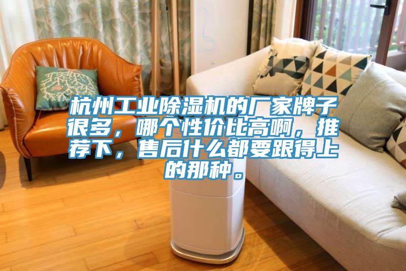 杭州工業(yè)除濕機(jī)的廠家牌子很多，哪個(gè)性?xún)r(jià)比高啊，推薦下，售后什么都要跟得上的那種。