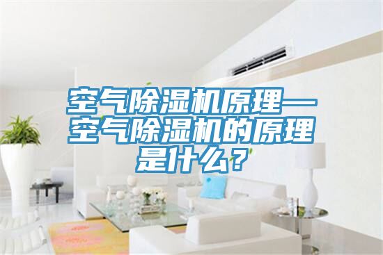 空氣除濕機原理—空氣除濕機的原理是什么？