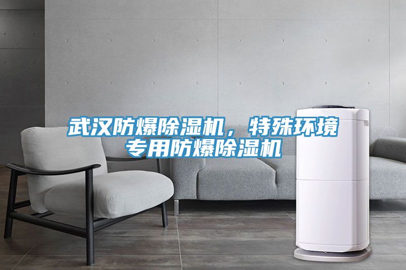 武漢防爆除濕機(jī)，特殊環(huán)境專用防爆除濕機(jī)