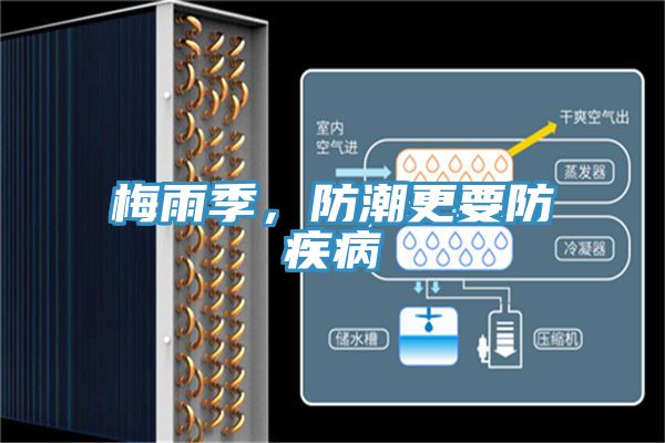 梅雨季，防潮更要防疾病