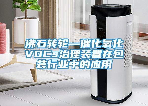 沸石轉(zhuǎn)輪—催化氧化VOCs治理裝置在包裝行業(yè)中的應用